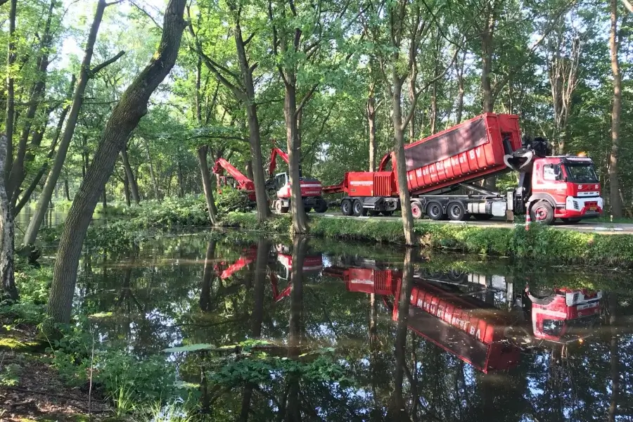 Professioneel bedrijf voor bosonderhoud in Oss