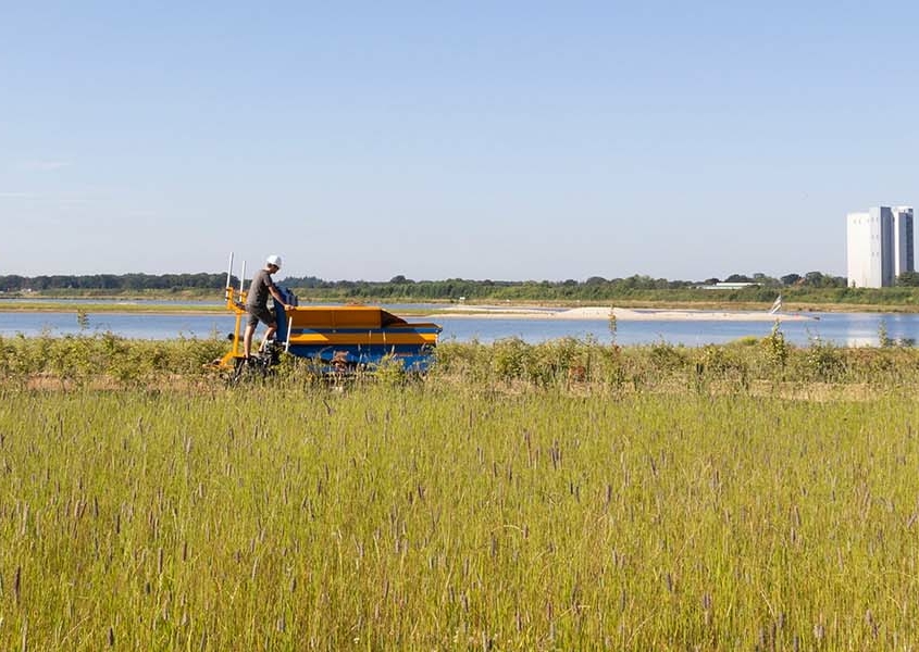 onderhoud van landschap in Oss