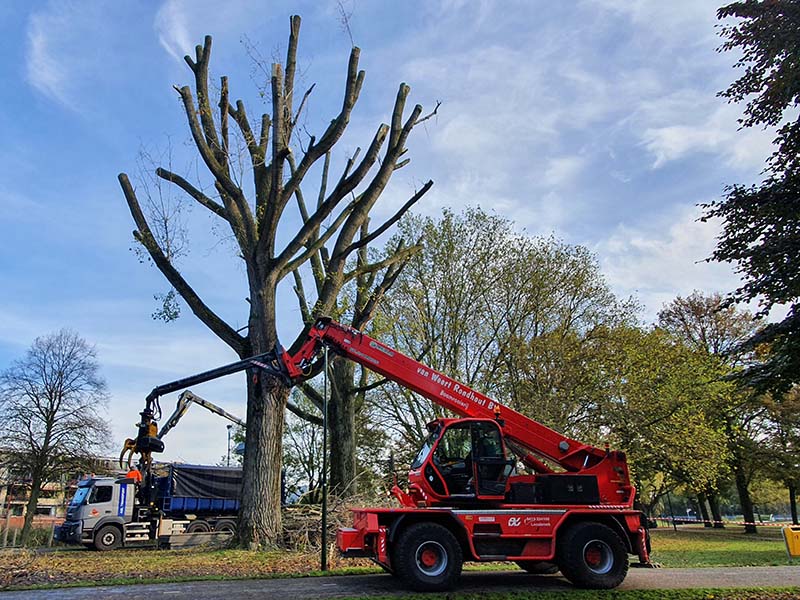 Van Weert - Bomen onderhoud, kroon innemen