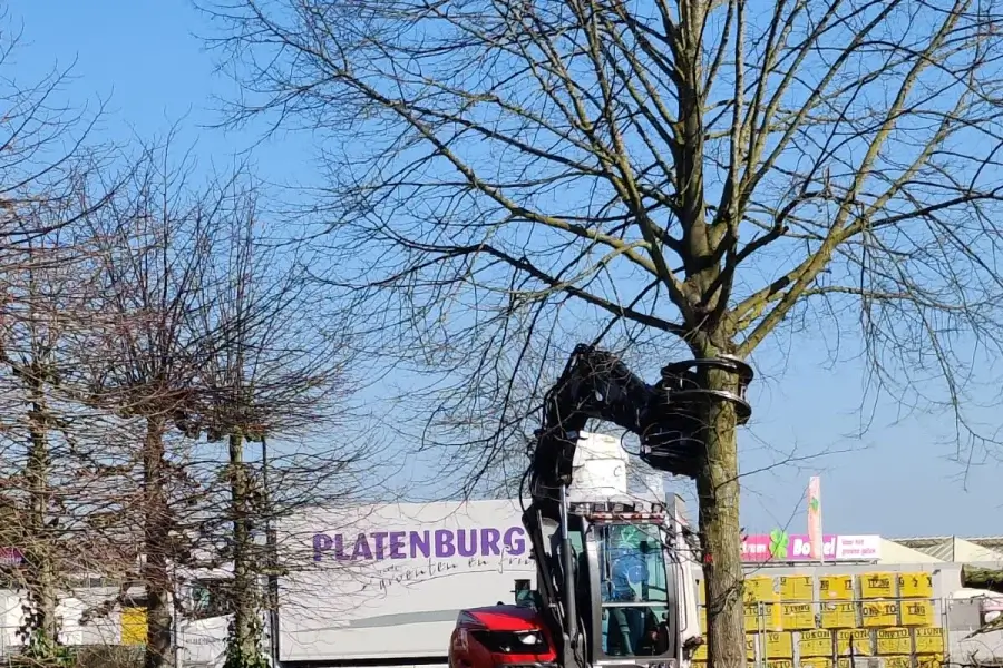 Het afvoeren van bomen na het rooien in Boxtel