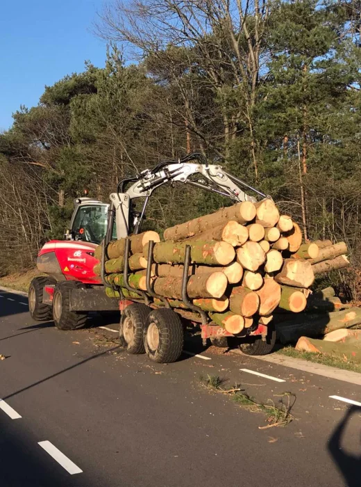 Het verwijderen van bomen in Roermond - Van Weert