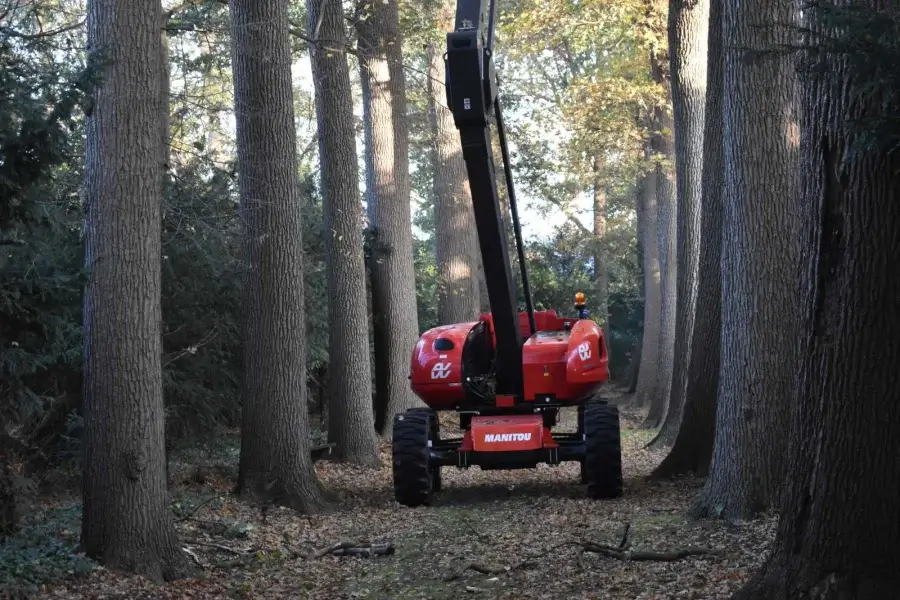 Het verwijderen van bomen in Uden - Van Weert