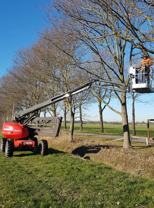 Specialisten van Van Weert snoeien bomen in Meierijstad