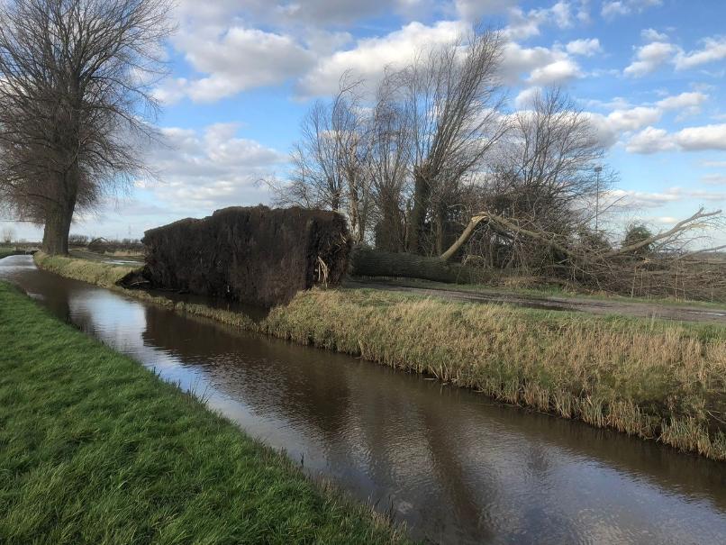 Werkzaamheden in de gemeente Drimmelen na storm - Van Weert