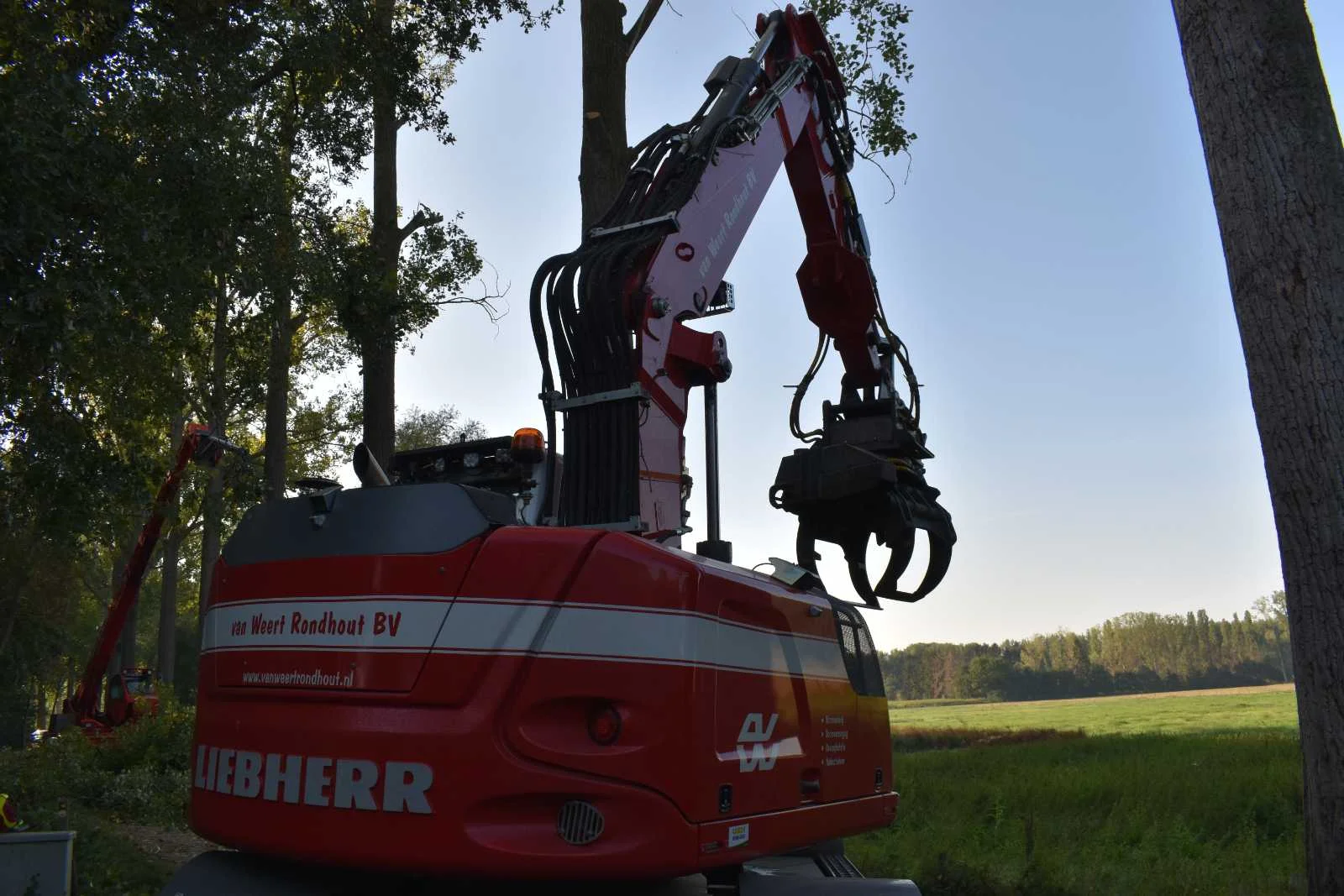 Bomen verwijderen in Roermond - Van Weert