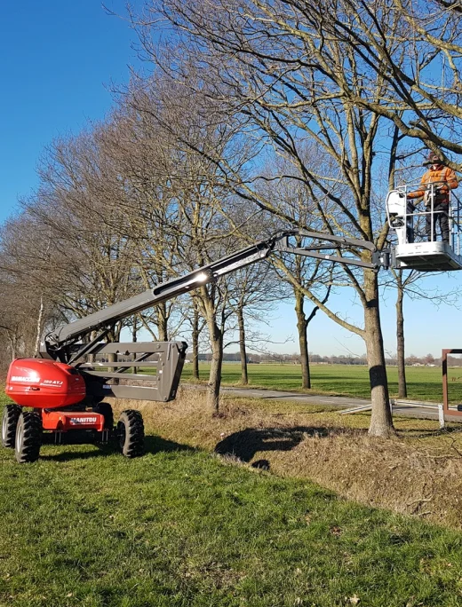 bomen snoeien langs weg