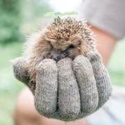 gedragscode soortenbescherming 2025