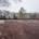 Van Weert verricht terreinwerk voor hovenier bij tuinrenovatie in Esch