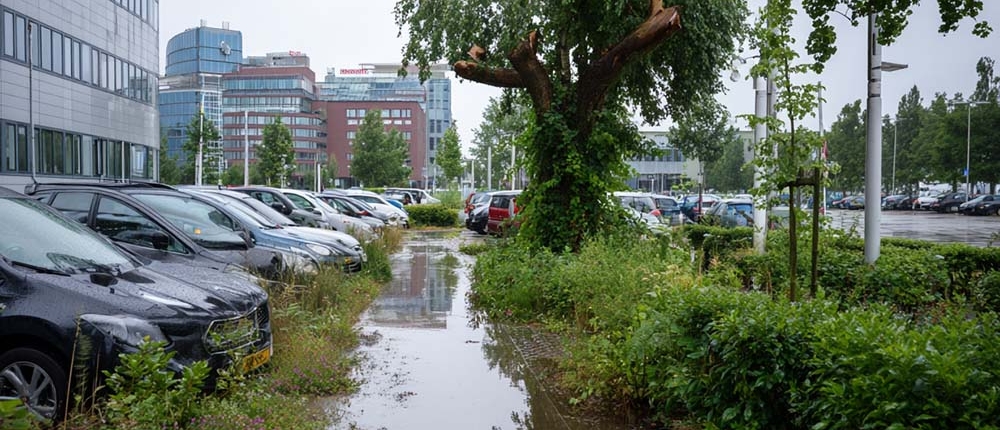 Natte zomers zorgen voor risico’s op uw bedrijventerrein. Ontdek hoe Van Weert u helpt om bomen, halfverharding en groenvoorziening veilig en in topconditie te houden.