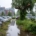 Natte zomers zorgen voor risico’s op uw bedrijventerrein. Ontdek hoe Van Weert u helpt om bomen, halfverharding en groenvoorziening veilig en in topconditie te houden.